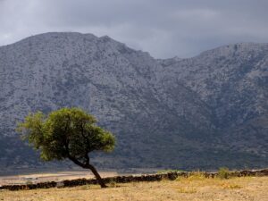 ορος ζας ναξος